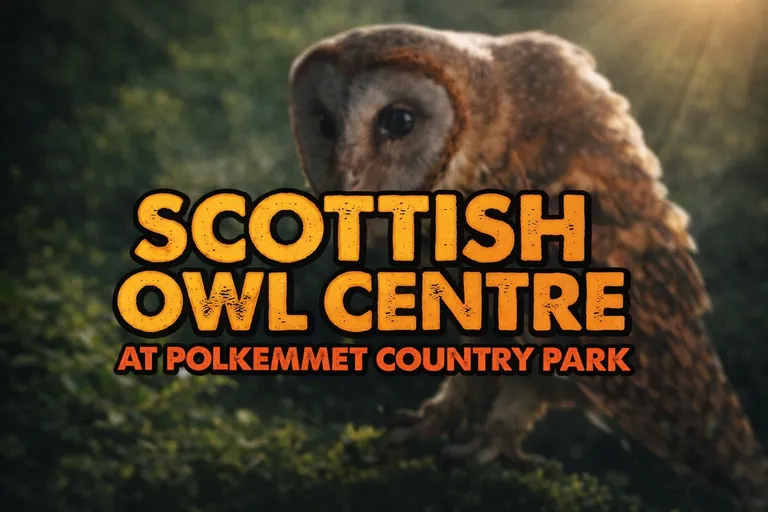 Scottish Owl Centre for sale in Scotland - photo 1 of 6