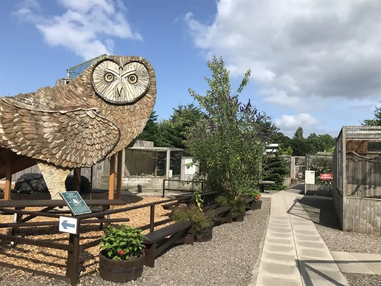 Scottish Owl Centre for sale in Scotland - photo 3 of 6