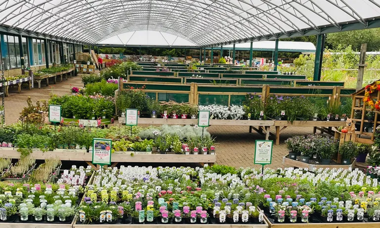Garden Centre for sale in Devon - photo 1 of 3